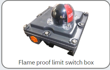 Flame proof limit switch box